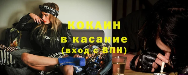 трава Абаза