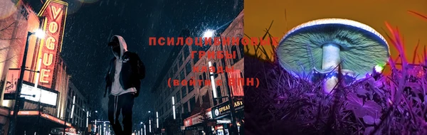 apvp Абдулино