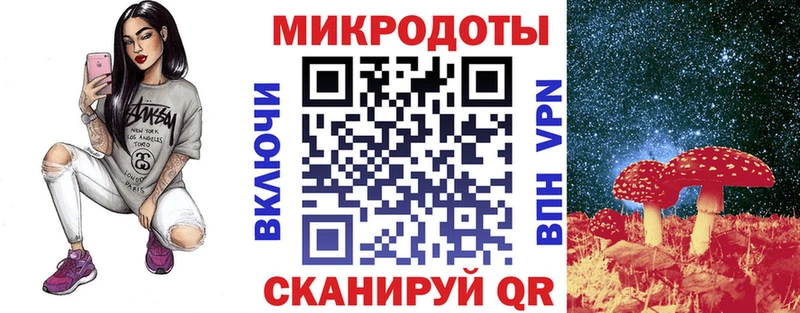 Галлюциногенные грибы прущие грибы  Кадников 